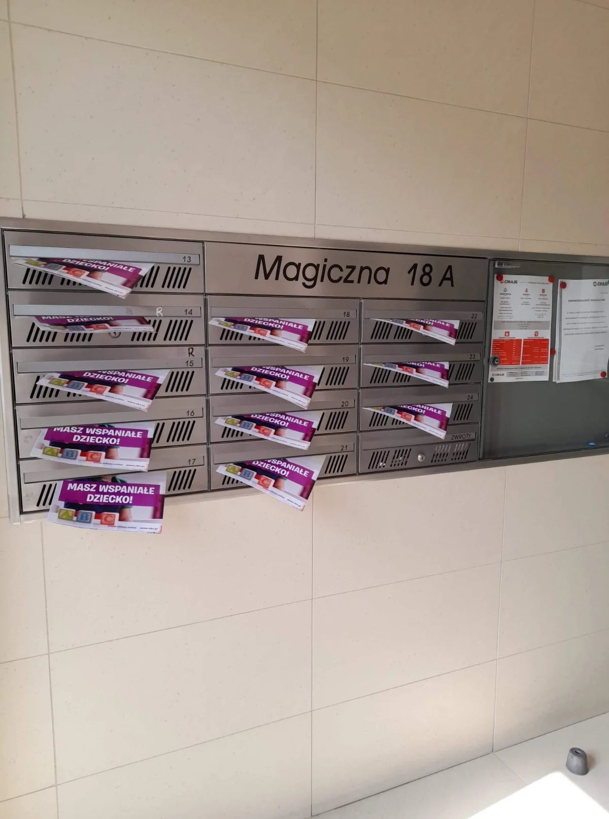 roznoszenie ulotek tarchomin